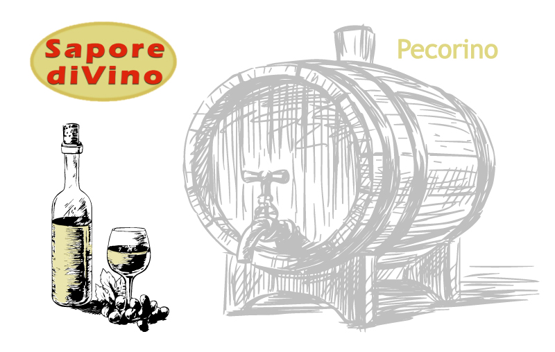 Sapore di Vino Pecorino